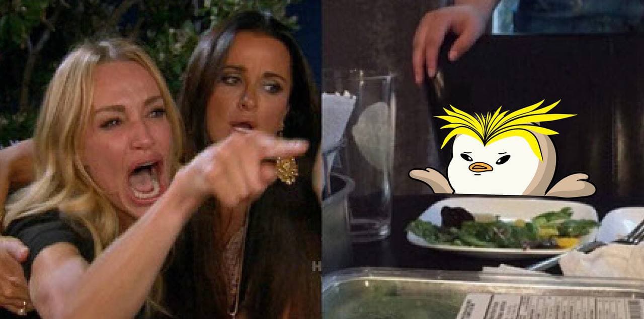 Woman yelling at cat